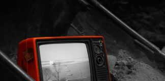 Czym się różni erekcja od potencji?