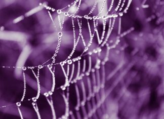 Jak dobrać odcień podkładu? Jak dobrać odcień podkładu?