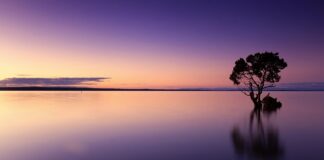 Ile mikronów do wody ze studni?