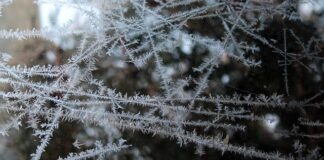 Czy można mrozić masło 82%?