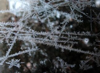 Czy można mrozić masło 82%? Czy można mrozić masło 82%?