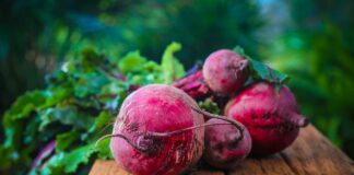 Czy cukrzyk może jeść buraki?