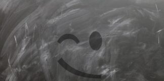 Czy można zamykać kota?