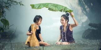 W jakim wieku shih tzu jest dorosły?