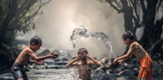 Czy trzeba kąpać psa przed strzyżeniem?