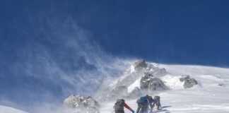 Ile stopni zimna wytrzyma kot?