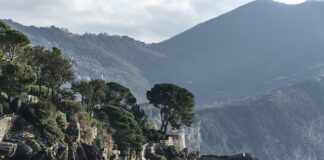 Ile kosztuje wymiana piór wycieraczek?