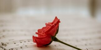 Jaką muzykę lubią psy?