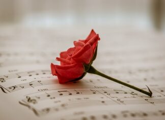 Jaką muzykę lubią psy? Jaką muzykę lubią psy?