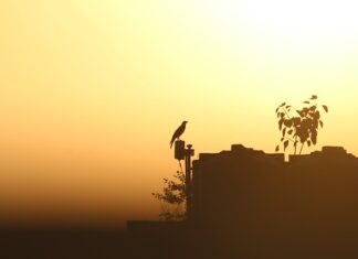 Co jest przyczyną nadmiernego zużycia środka bieżnika na całym obwodzie? Co jest przyczyną nadmiernego zużycia środka bieżnika na całym obwodzie?