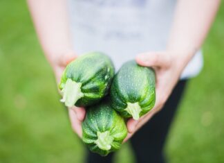 Czy cukinię można zalać gorąca zalewa? Czy cukinię można zalać gorąca zalewa?