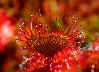 Ile łyżek to 50 ml wody? Ile łyżek to 50 ml wody?