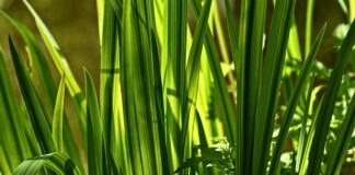 Jak zwiększyć popęd seksualny u mężczyzn?