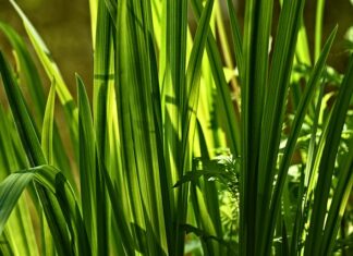 Jak zwiększyć popęd seksualny u mężczyzn? Jak zwiększyć popęd seksualny u mężczyzn?